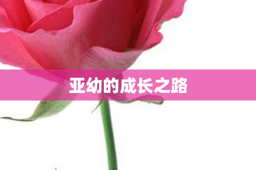 亚幼的成长之路