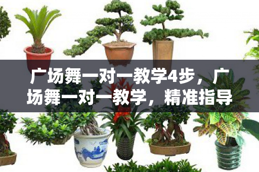 广场舞一对一教学4步,广场舞一对一教学,精准指导,舞出风采 广场舞一对一教学4步,广场舞一对一教学,精准指导,舞出风采