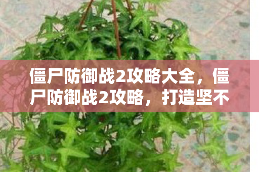 僵尸防御战2攻略大全，僵尸防御战2攻略，打造坚不可摧的防线