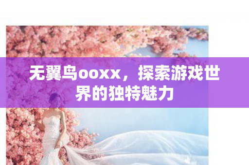 无翼鸟ooxx,探索游戏世界的独特魅力 无翼鸟ooxx,探索游戏世界的独特魅力
