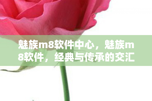 魅族m8软件中心,魅族m8软件,经典与传承的交汇 魅族m8软件中心,魅族m8软件,经典与传承的交汇