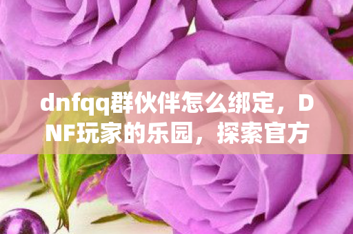 dnfqq群伙伴怎么绑定,DNF玩家的乐园,探索官方QQ群的无尽魅力 dnfqq群伙伴怎么绑定,DNF玩家的乐园,探索官方QQ群的无尽魅力