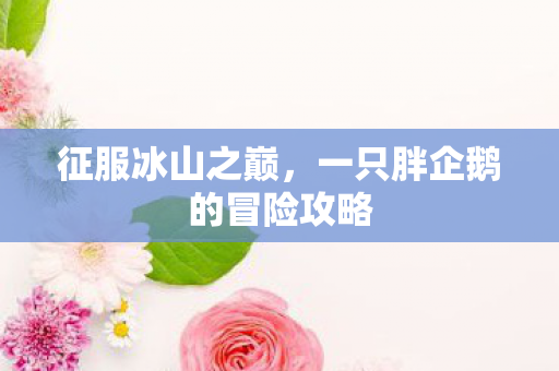 征服冰山之巅,一只胖企鹅的冒险攻略 征服冰山之巅,一只胖企鹅的冒险攻略