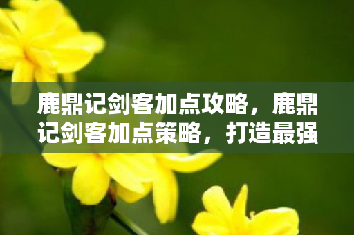 鹿鼎记剑客加点攻略，鹿鼎记剑客加点策略，打造最强剑客