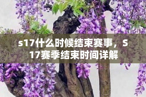 s17什么时候结束赛事,S17赛季结束时间详解 s17什么时候结束赛事,S17赛季结束时间详解