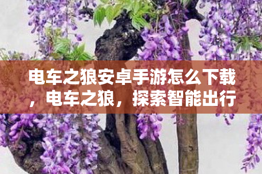 电车之狼安卓手游怎么下载,电车之狼,探索智能出行的未来 电车之狼安卓手游怎么下载,电车之狼,探索智能出行的未来