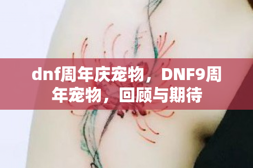dnf周年庆宠物,DNF9周年宠物,回顾与期待 dnf周年庆宠物,DNF9周年宠物,回顾与期待