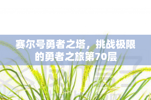 赛尔号勇者之塔,挑战极限的勇者之旅第70层 赛尔号勇者之塔,挑战极限的勇者之旅第70层