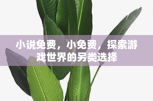 小说免费，小免费，探索游戏世界的另类选择