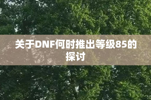 关于DNF何时推出等级85的探讨