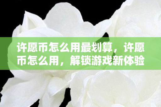 许愿币怎么用最划算，许愿币怎么用，解锁游戏新体验，提升角色实力