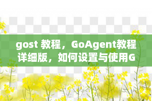 gost 教程,GoAgent教程详细版,如何设置与使用GoAgent代理 gost 教程,GoAgent教程详细版,如何设置与使用GoAgent代理