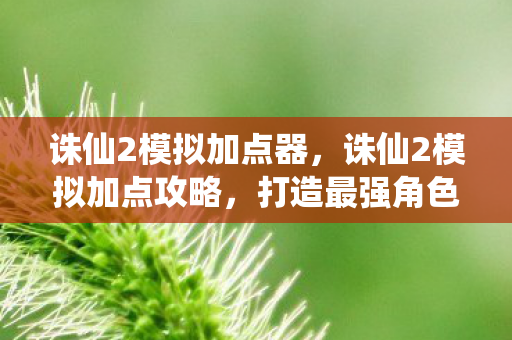 诛仙2模拟加点器,诛仙2模拟加点攻略,打造最强角色 诛仙2模拟加点器,诛仙2模拟加点攻略,打造最强角色