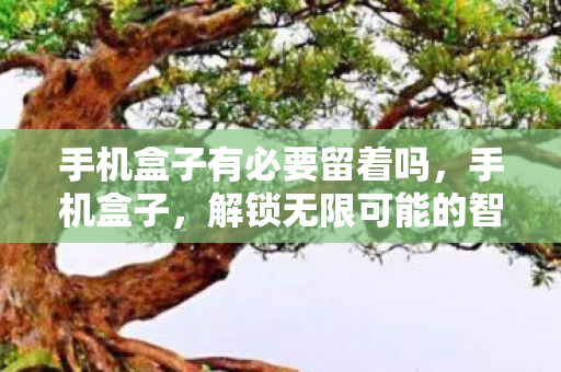 手机盒子有必要留着吗,手机盒子,解锁无限可能的智能生活助手 手机盒子有必要留着吗,手机盒子,解锁无限可能的智能生活助手