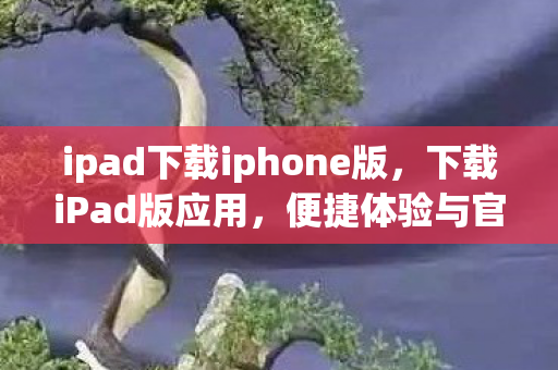ipad下载iphone版，下载iPad版应用，便捷体验与官方渠道的平衡