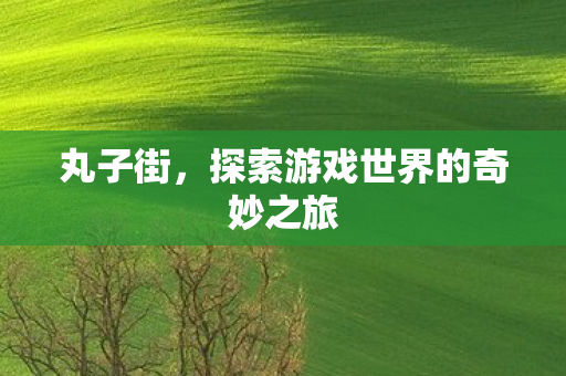 丸子街,探索游戏世界的奇妙之旅 丸子街,探索游戏世界的奇妙之旅