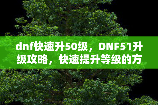 dnf快速升50级,DNF51升级攻略,快速提升等级的方法与技巧 dnf快速升50级,DNF51升级攻略,快速提升等级的方法与技巧