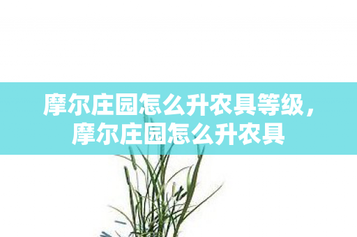 摩尔庄园怎么升农具等级,摩尔庄园怎么升农具 摩尔庄园怎么升农具等级,摩尔庄园怎么升农具