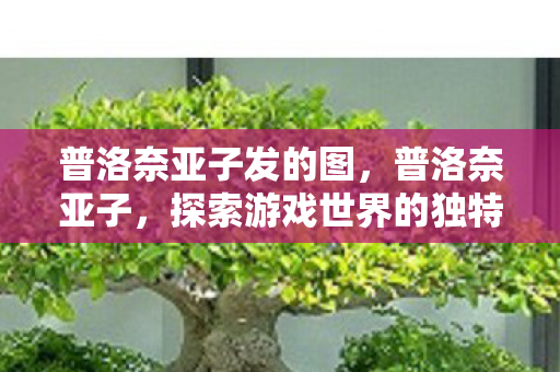 普洛奈亚子发的图，普洛奈亚子，探索游戏世界的独特魅力
