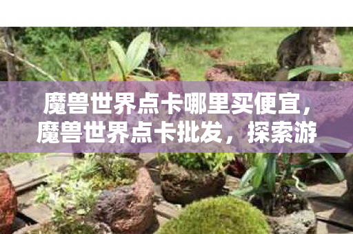 魔兽世界点卡哪里买便宜,魔兽世界点卡批发,探索游戏经济的奥秘 魔兽世界点卡哪里买便宜,魔兽世界点卡批发,探索游戏经济的奥秘