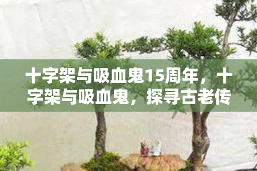 十字架与吸血鬼15周年,十字架与吸血鬼,探寻古老传说与现代文化的交融 十字架与吸血鬼15周年,十字架与吸血鬼,探寻古老传说与现代文化的交融