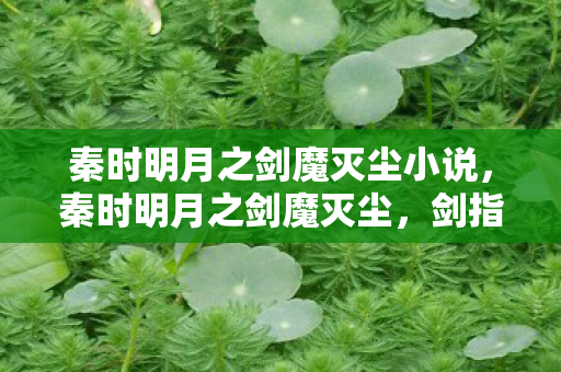 秦时明月之剑魔灭尘小说，秦时明月之剑魔灭尘，剑指苍穹，魔影遁形