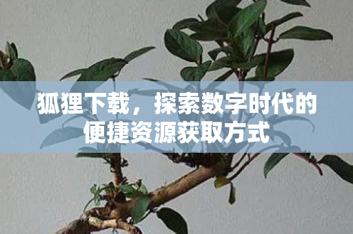 狐狸下载,探索数字时代的便捷资源获取方式 狐狸下载,探索数字时代的便捷资源获取方式