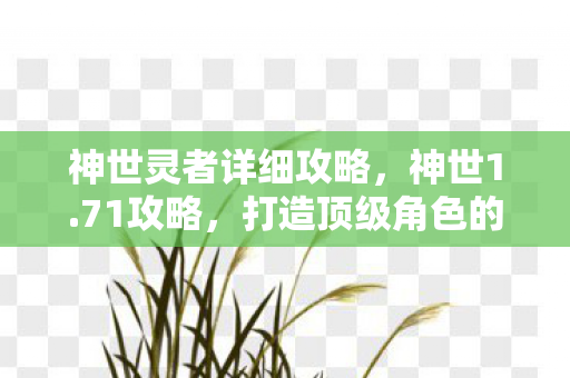 神世灵者详细攻略,神世1.71攻略,打造顶级角色的全面指南 神世灵者详细攻略,神世1.71攻略,打造顶级角色的全面指南