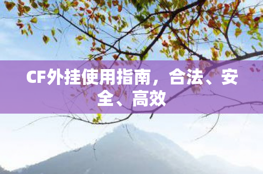 CF外挂使用指南,合法、安全、高效 CF外挂使用指南,合法、安全、高效