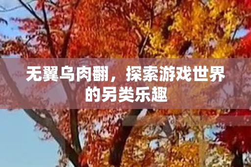 无翼乌肉翻,探索游戏世界的另类乐趣 无翼乌肉翻,探索游戏世界的另类乐趣