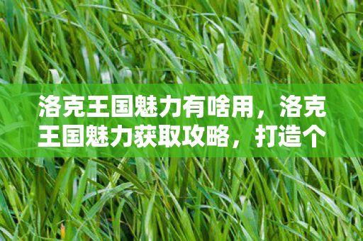 洛克王国魅力有啥用，洛克王国魅力获取攻略，打造个人魅力，赢取丰厚奖励