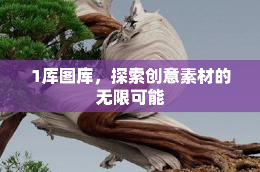 1厍图库,探索创意素材的无限可能 1厍图库,探索创意素材的无限可能