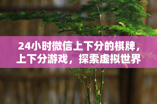 24小时微信上下分的棋牌,上下分游戏,探索虚拟世界的财富与乐趣 24小时微信上下分的棋牌,上下分游戏,探索虚拟世界的财富与乐趣