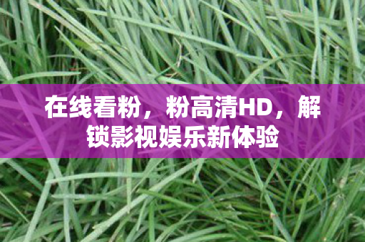 在线看粉,粉高清HD,解锁影视娱乐新体验 在线看粉,粉高清HD,解锁影视娱乐新体验
