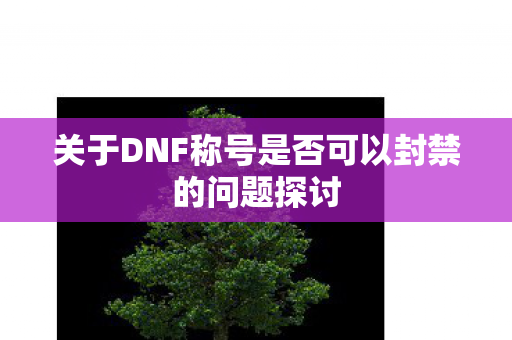 关于DNF称号是否可以封禁的问题探讨 关于DNF称号是否可以封禁的问题探讨