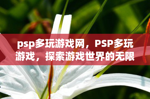 psp多玩游戏网，PSP多玩游戏，探索游戏世界的无限可能