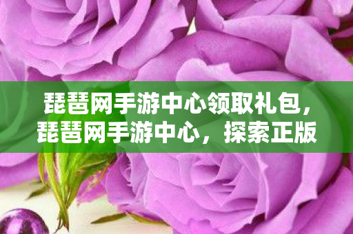 琵琶网手游中心领取礼包，琵琶网手游中心，探索正版手游的无限可能