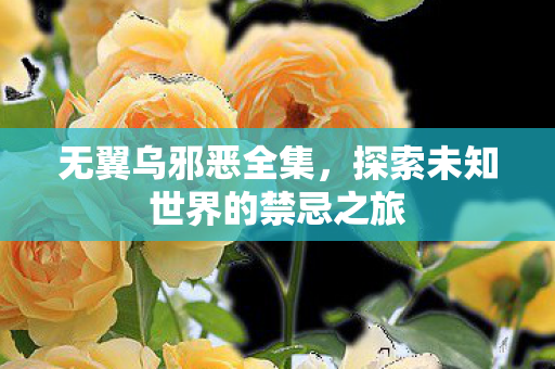 无翼乌邪恶全集，探索未知世界的禁忌之旅