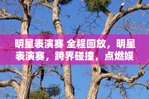 明星表演赛 全程回放,明星表演赛,跨界碰撞,点燃娱乐新火花 明星表演赛 全程回放,明星表演赛,跨界碰撞,点燃娱乐新火花
