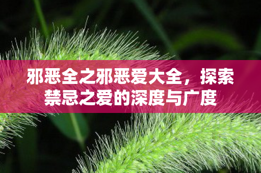 邪恶全之邪恶爱大全，探索禁忌之爱的深度与广度