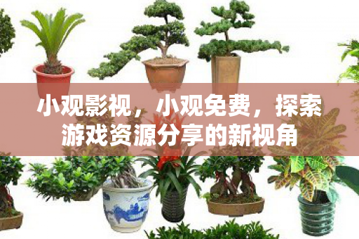小观影视，小观免费，探索游戏资源分享的新视角