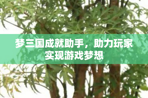 梦三国成就助手,助力玩家实现游戏梦想 梦三国成就助手,助力玩家实现游戏梦想
