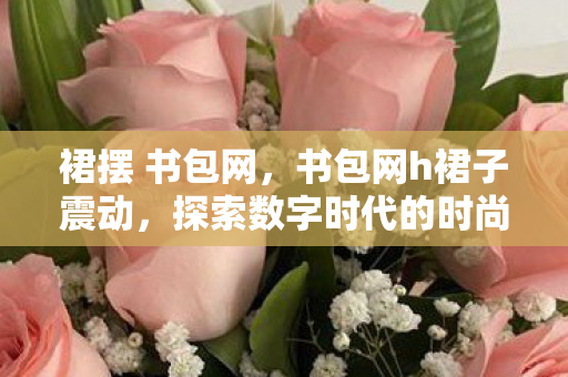 裙摆 书包网，书包网h裙子震动，探索数字时代的时尚潮流