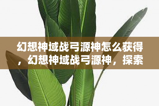 幻想神域战弓源神怎么获得,幻想神域战弓源神,探索未知,挑战极限 幻想神域战弓源神怎么获得,幻想神域战弓源神,探索未知,挑战极限