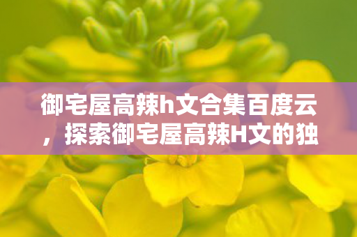 御宅屋高辣h文合集百度云,探索御宅屋高辣H文的独特魅力 御宅屋高辣h文合集百度云,探索御宅屋高辣H文的独特魅力