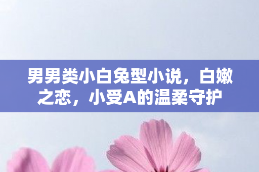 男男类小白兔型小说，白嫩之恋，小受A的温柔守护