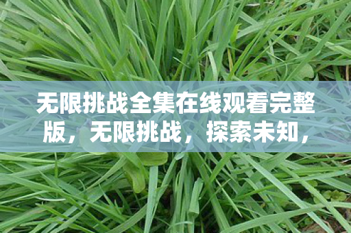 无限挑战全集在线观看完整版,无限挑战,探索未知,突破自我 无限挑战全集在线观看完整版,无限挑战,探索未知,突破自我
