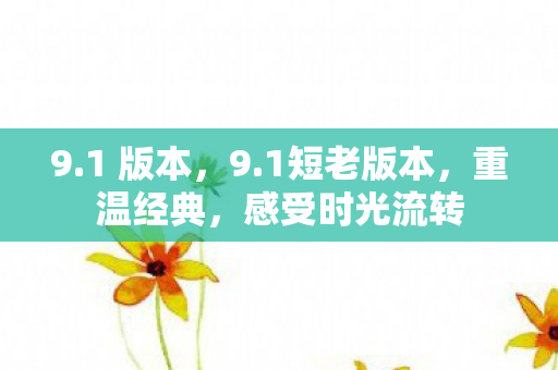 9.1 版本,9.1短老版本,重温经典,感受时光流转 9.1 版本,9.1短老版本,重温经典,感受时光流转