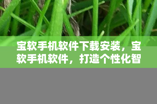宝软手机软件下载安装,宝软手机软件,打造个性化智能体验 宝软手机软件下载安装,宝软手机软件,打造个性化智能体验