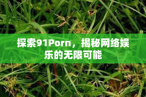探索91Porn,揭秘网络娱乐的无限可能 探索91Porn,揭秘网络娱乐的无限可能